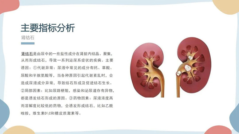 1693531488441435.jpg 13.jpg